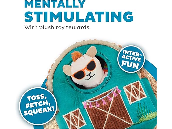 Outward Hound Hide Plush Dog Toy Puzzle (your choice)