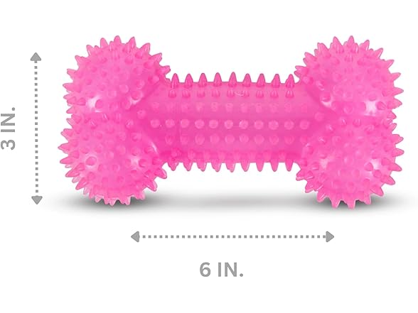 Bow-Wow TPR Spiked Squeaky Dog Toy