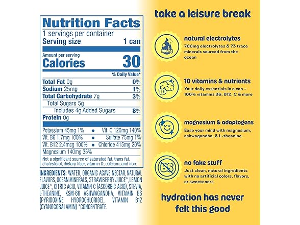 12PK Leisure Hydration Non-Carbonated Lemonade