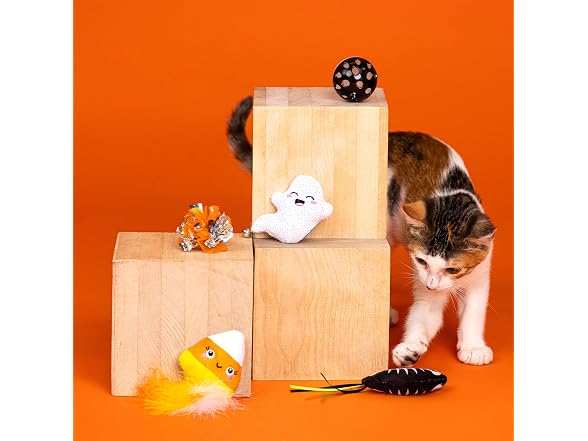 Fringe Studio Pet Toy, Sweet Treats, Spooky FEATS 6Pc