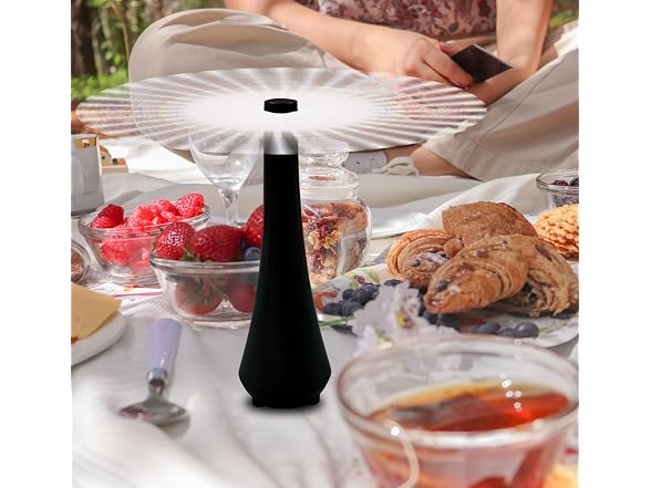 Fly Swatter for Outside/Inside Meal