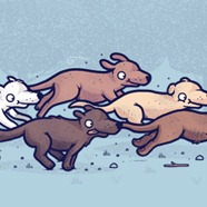 The Chase The Chase