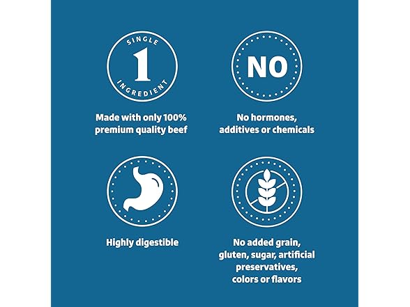 Amazon Brand Wonder Bound Bully Curls