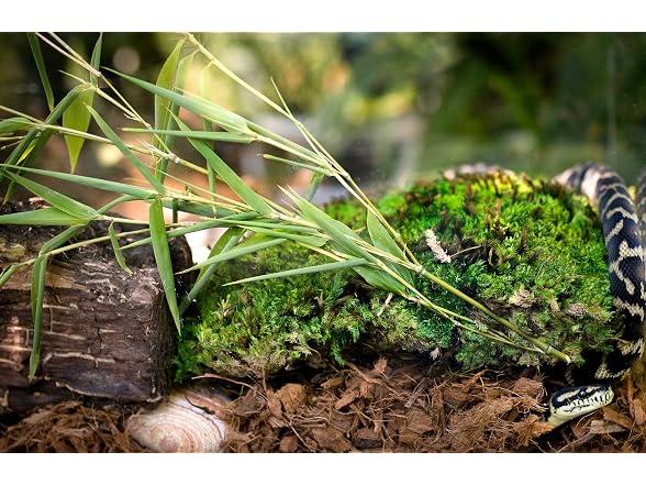Galápagos (05020) Tropicoco® Husk Bedding for Reptiles