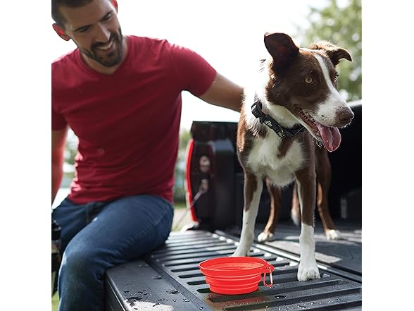 Franklin Pet Supply - Collapsible Pet Travel Bowl