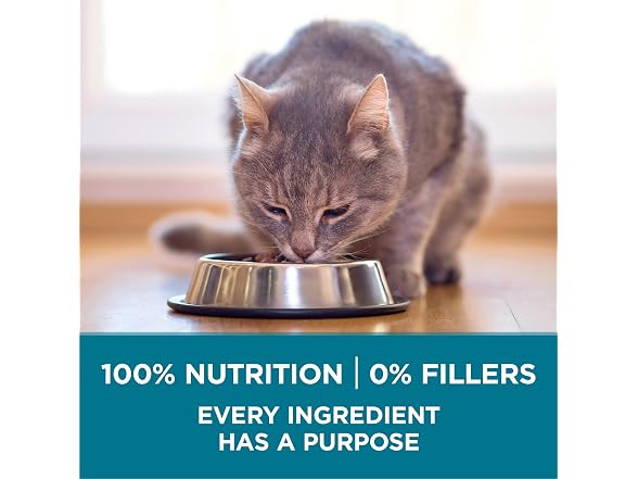 Purina ONE Natural Dry Cat Food, Tender Selects Bl