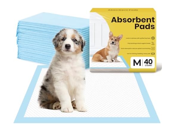 24'' x 24'' 40 Count