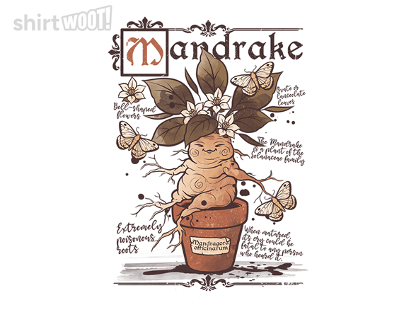 Cute Mandrake Root