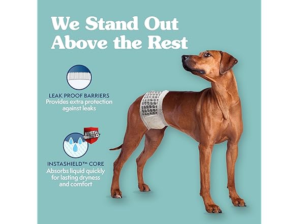 Simple Solution Disposable Male Wraps