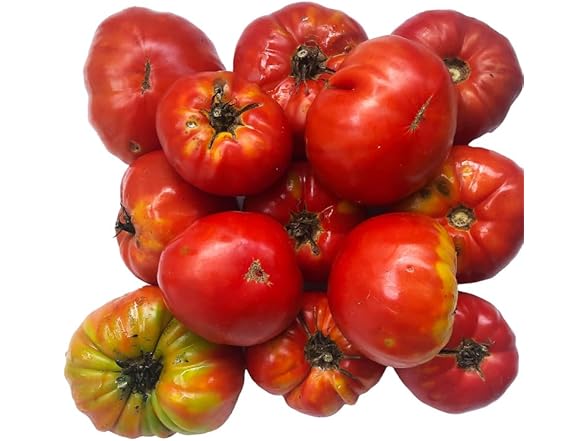 Large Red Heirloom Tomato Seeds 150pc