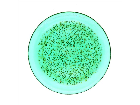 Emerald/Gold
