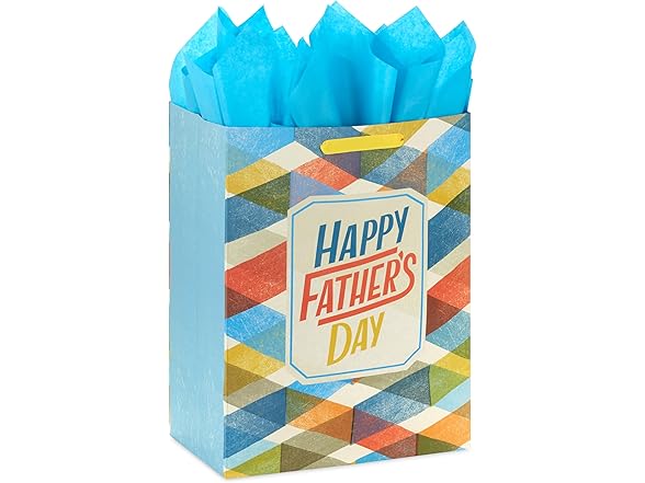 Hallmark 17" Father's Day Gift Bag