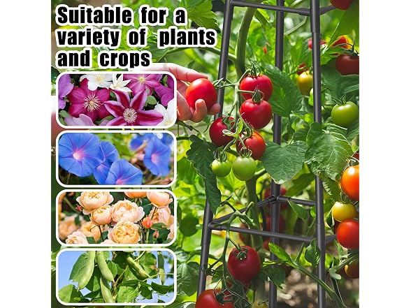 Hsundries 6FT Obelisk Trellis