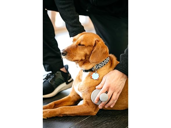 Dexas BrushBuster Silicone Gentle Dog Grooming Brush, Gray