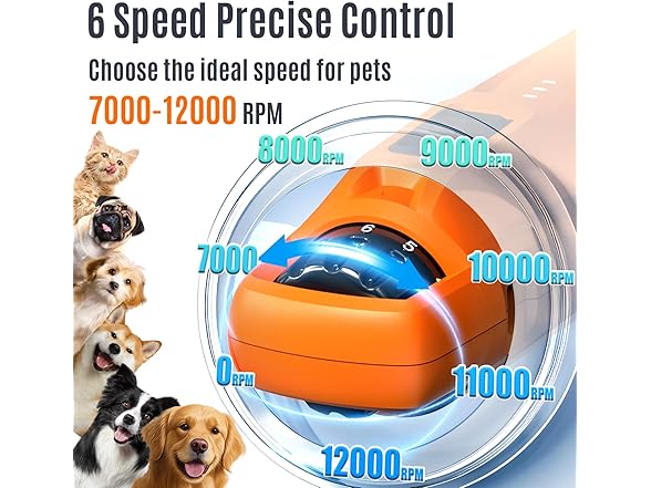 Casfuy B0FCG1FFVL dog nail grinder