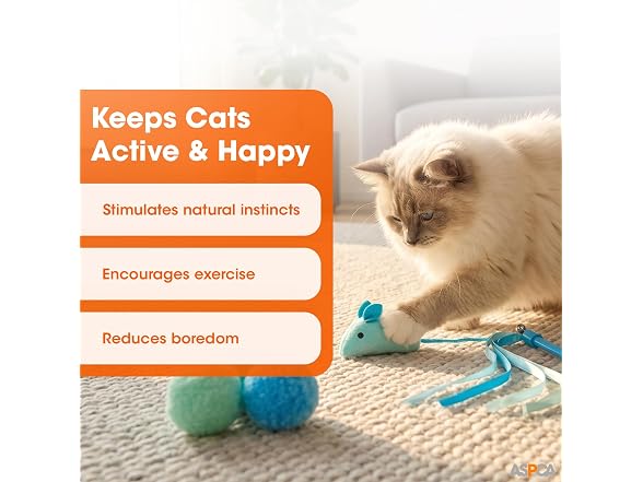 ASPCA 15-Piece Cat Toy Variety Pack – Blue