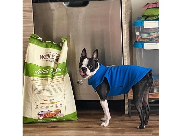 Gooby Fleece Vest Dog Sweater, Deep Blue, Me