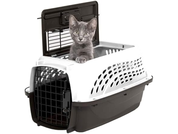 Petmate Dog Crates for Small Dogs & Cat