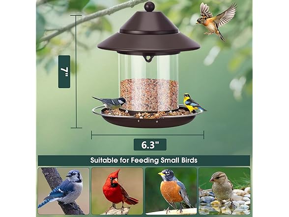MAXDORIA Hanging Metal Roof Bird Feeder