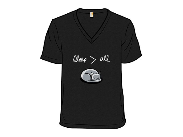 Sleep Trumps All Remix