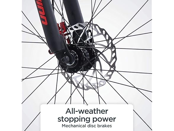 Schwinn Bonafide Unisex Mtn Bike, 24S, 29In