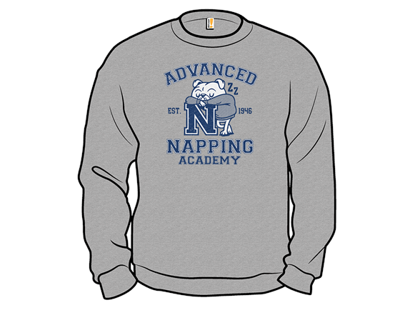 Advanced Napping Academy
