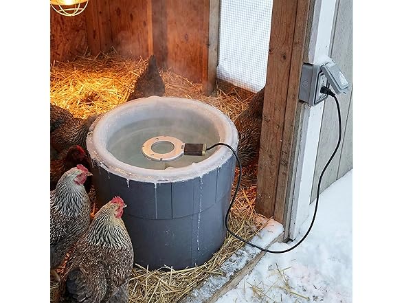 Farm Innovators Chicken Waterer De-Icer