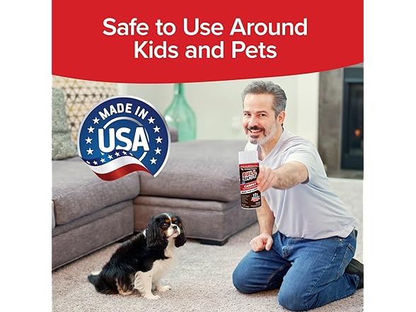 Horsepower BullShot Carpet Spot & Stain Remover- 2PK