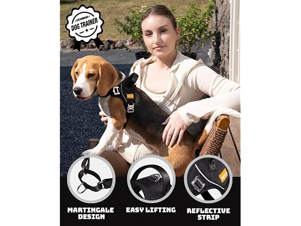 DF No Pull Martingale Dog Harness and Leash