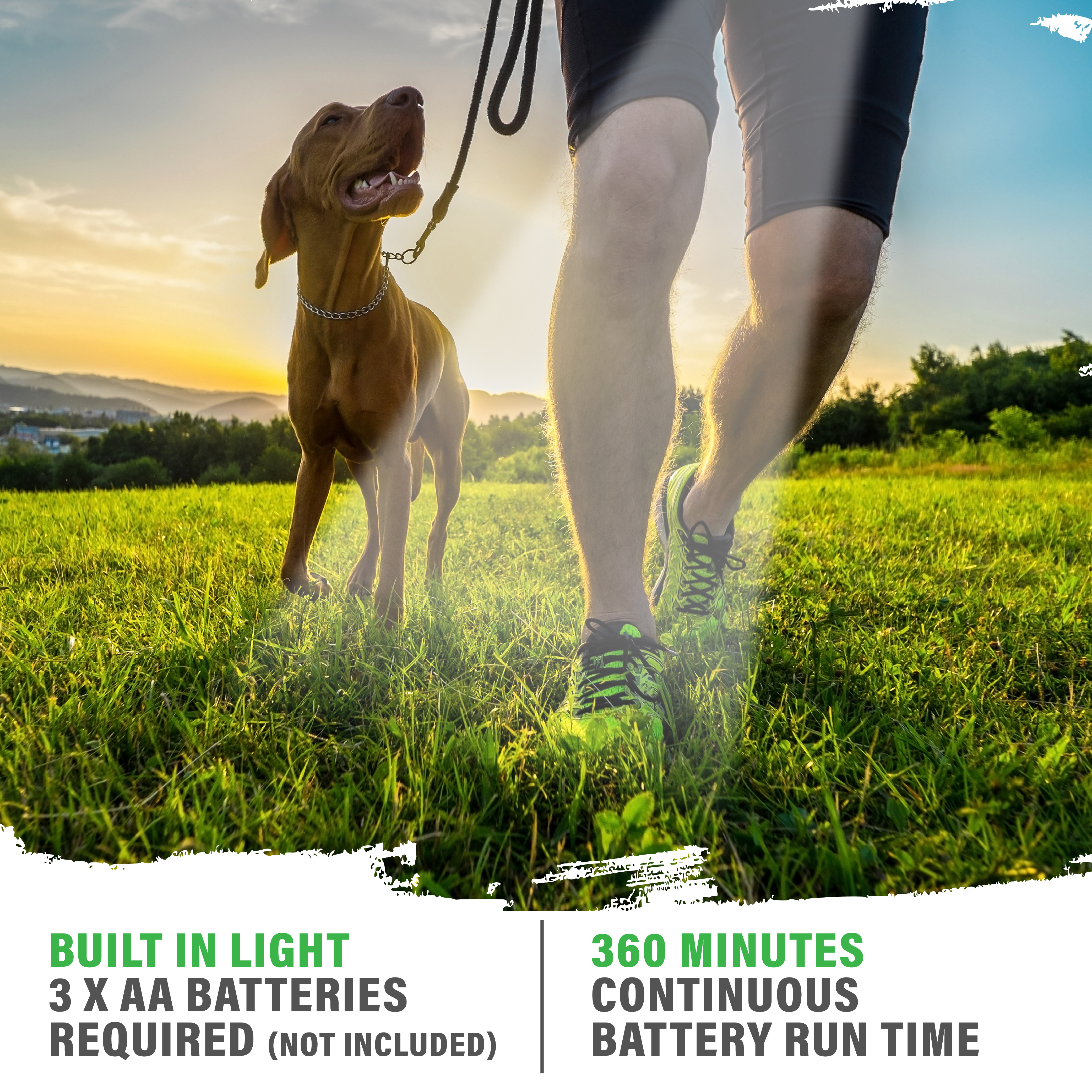 (2 or 3pk) Anti Bark Dog Training Equipment - Gallery 12