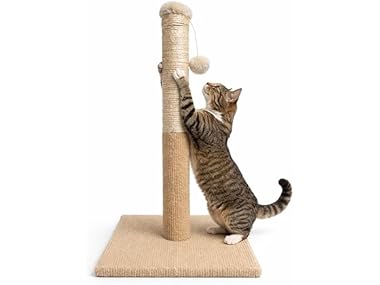 $17.29 ASPCA Cat Scratching Post, Hanging Teaser Toy, Tan dealfomo