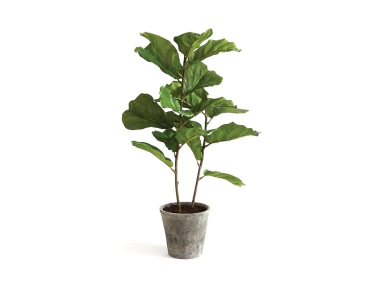 National Tree Company 43 Inch Artificial Fiddle Leaf Fig Tree in Clay Pot