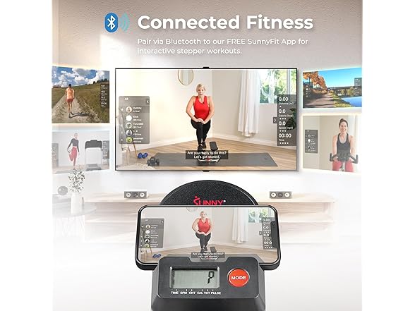 Sunny Health & Fitness Mountain Climb Stair Stepper