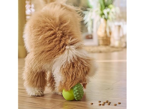 SPOT Treat Tumbler Broccoli – Freezable & Fillable