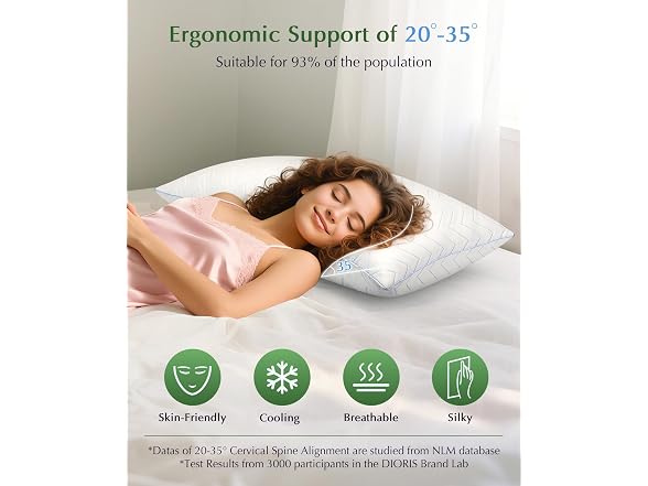 DIORIS Cooling Pillows Queen Set of 2