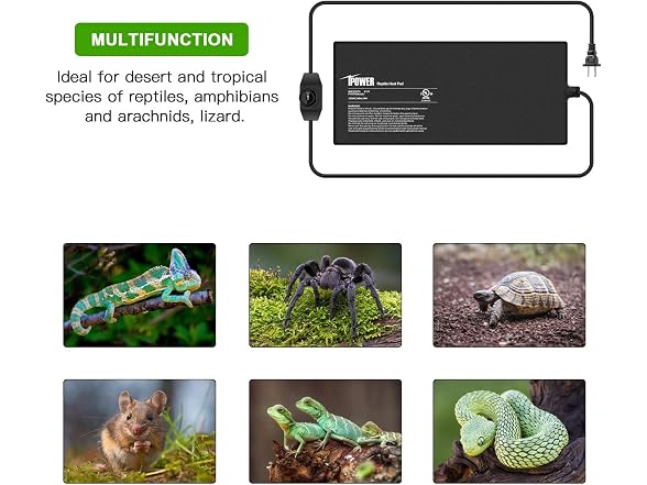 iPower Reptile Heat Pad Under Tank Terrarium