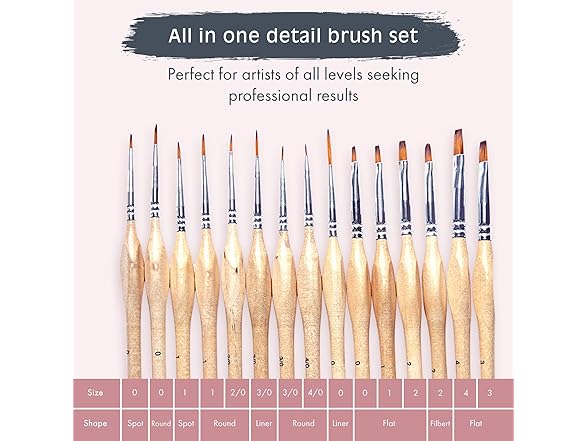 Pink Picasso Painting Brush Kit