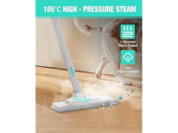 HAUSHOF 1.5L Steam Cleaner