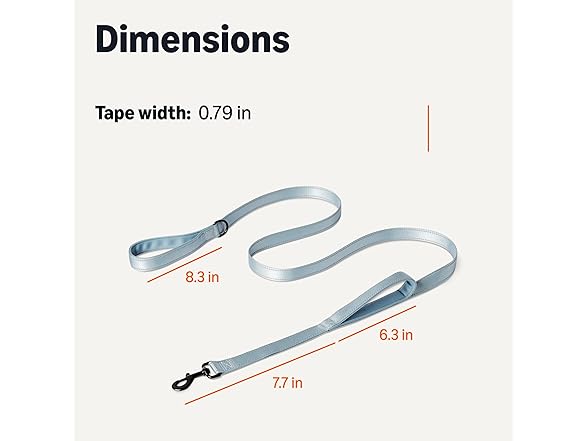 Amazon Basics Reflective Dog Leash 4ft