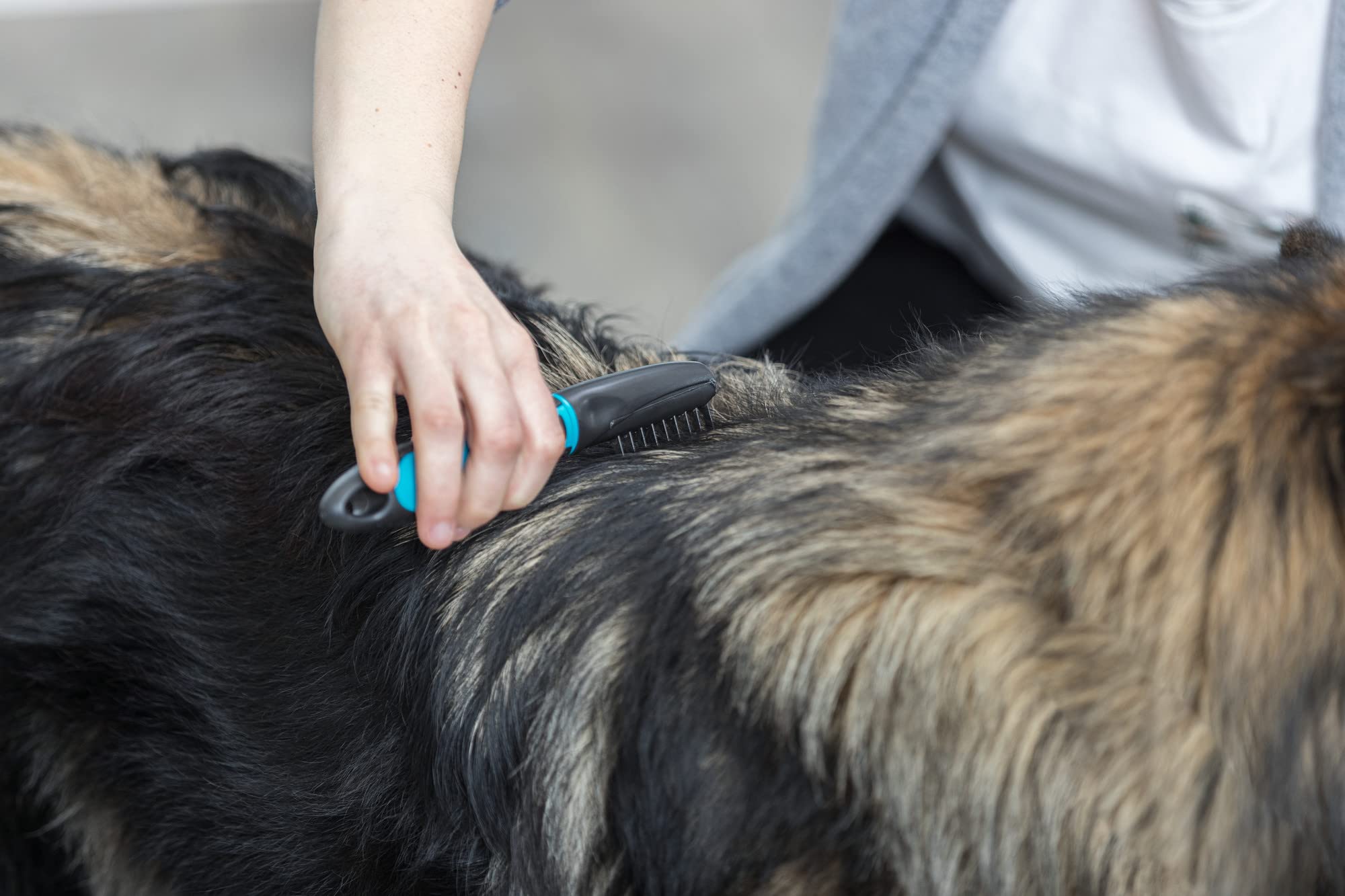TRIXIE Pet Universal Grooming Rake - Gallery 4