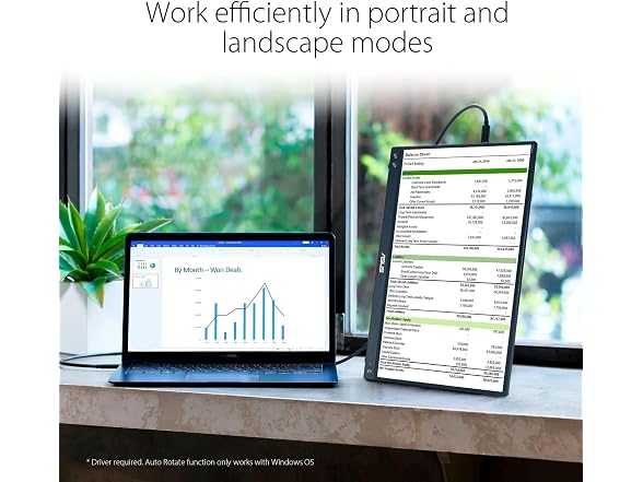 ASUS ZenScreen MB16ACV 15.6 Portable Monitor