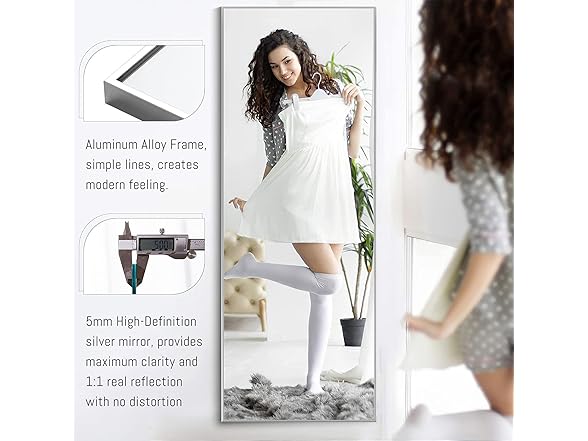 NeuType 59"x20" Full Length Silver Mirror