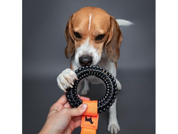 NOAH & PAW Luxury Dog Toy, TPU- Tug Ring, Black