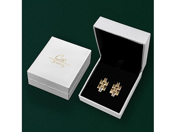 CelebWonde CW Womens watchband earrings