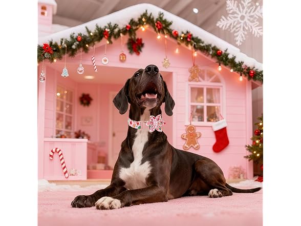 Maca Bates Christmas Pink Dog Collar with Fl