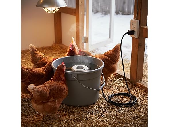 Farm Innovators Chicken Waterer De-Icer