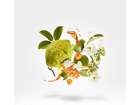 Xerjoff 1861 Naxos 3.4 OZ EDP Spray