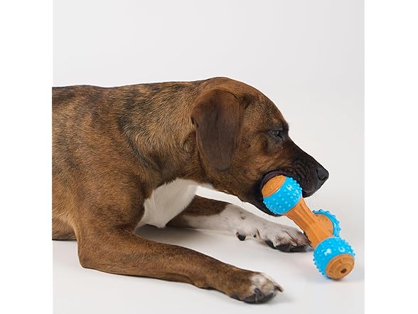 SPOT Bam-Bones PLUS Gigglers Dog Toy
