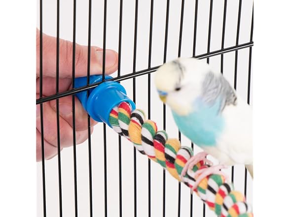 PENN-PLAX Bird Life Multicolored and Flexible Rope Perch