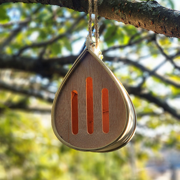 Pollinating Palace - Butterfly House - Gallery 10